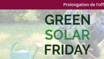 Green Solar Friday: plantar árboles con Mi Kit Solar